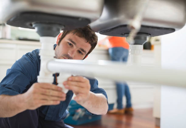 Best Clogged Drain Plumber  in Lake Mawk, OH